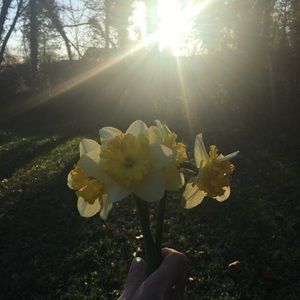 Meet your Posher, Hillary